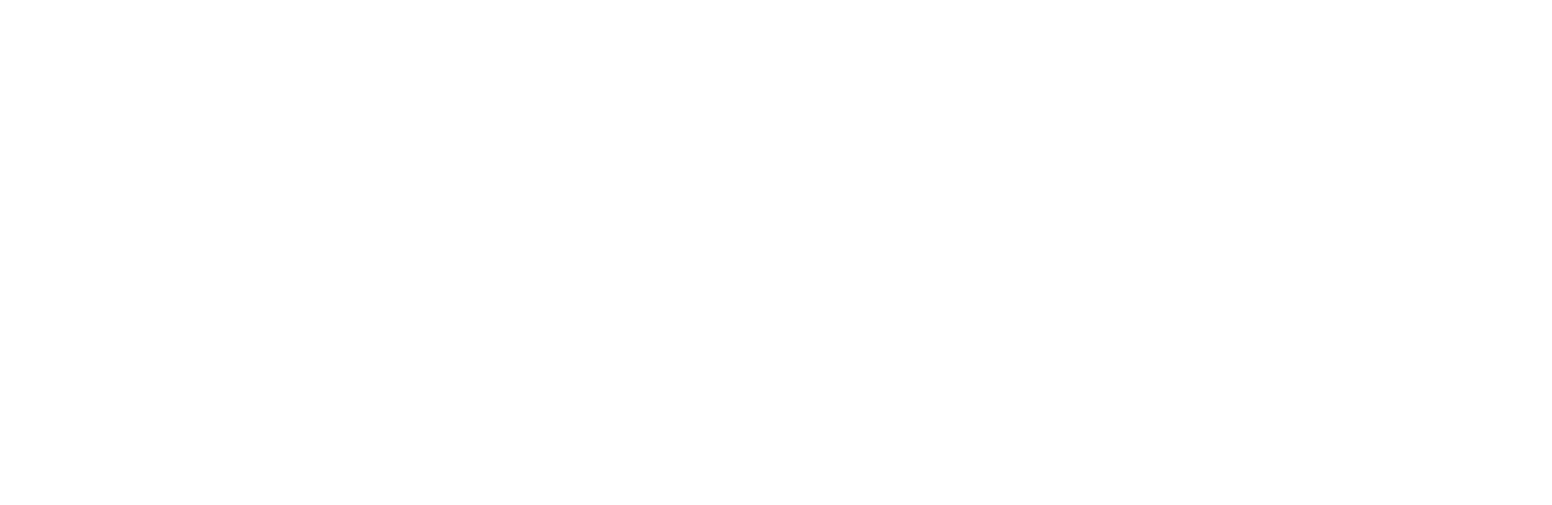 bmwkms_logo_weiss.png