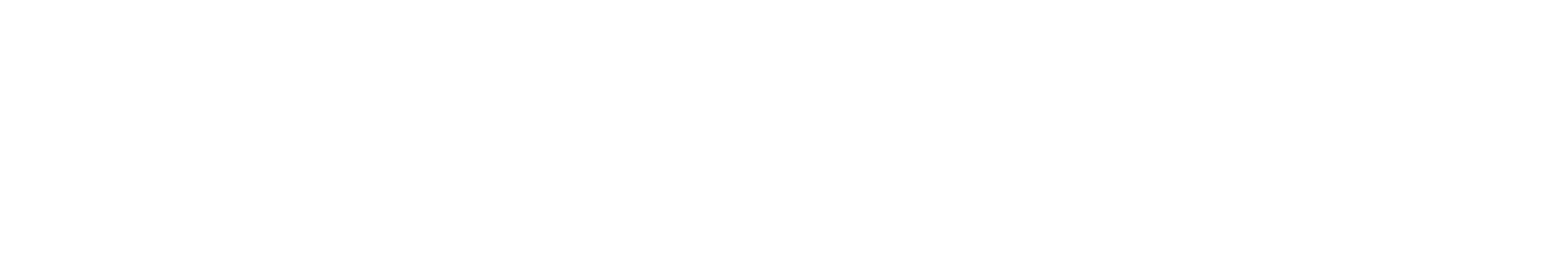 fe_ae_festival_logo2025_white.png
