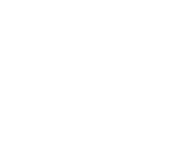 fro_logo_neu_transp_weiss.png